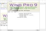 Wing-IDE-Pro.jpg