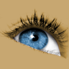 Sante-DICOM-Viewer.png