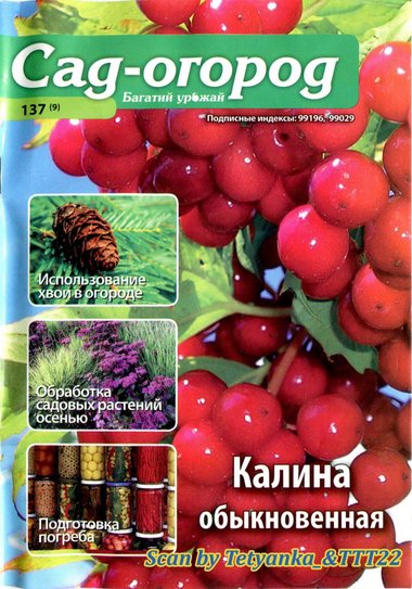 137-9.jpg