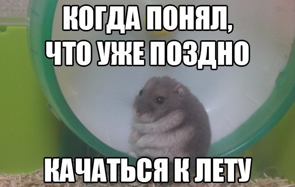 4d27c1f6791da7fa823aeaff5aa8553c.jpg