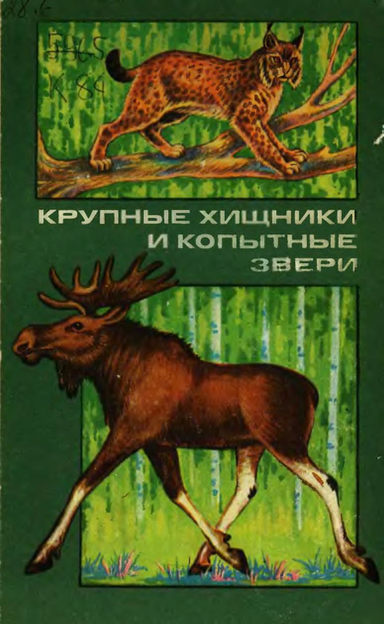 219540_original.jpg