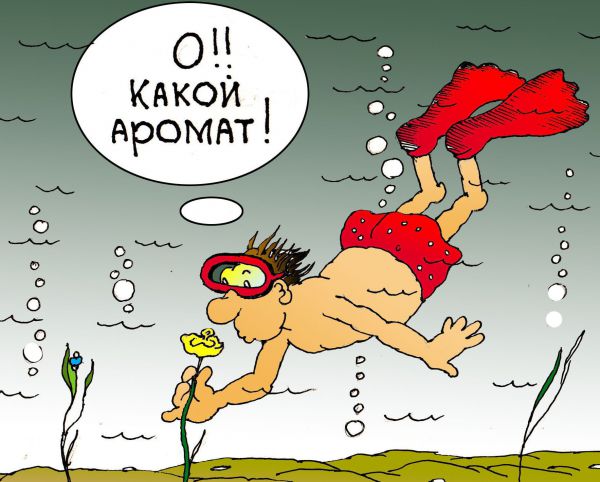 kakoj-aromat.jpg
