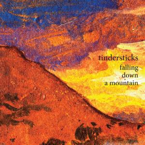 tindersticks-cvr-0210.jpg