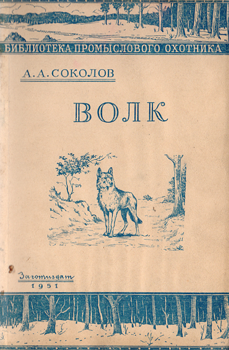 158346_800.jpg