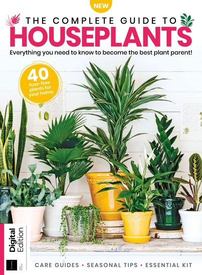 The-Complete-Guide-to-Houseplants-2023.jpg