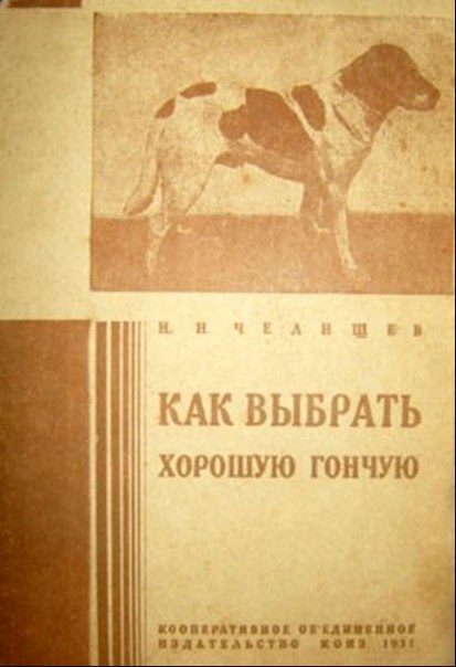 231391_original.jpg