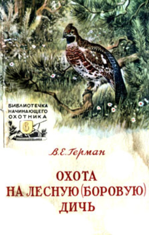 169537_800.jpg