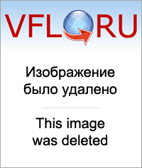 8923141.png