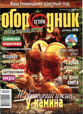 126.jpg