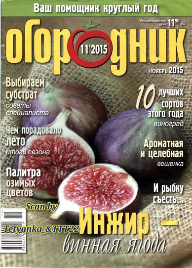 OGORODNYK-11-2015ukr.jpg
