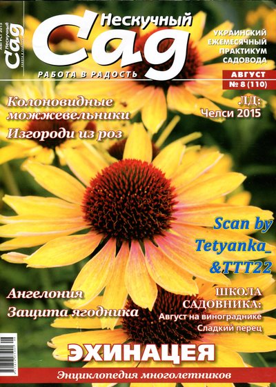 NSad-08-2015.jpg