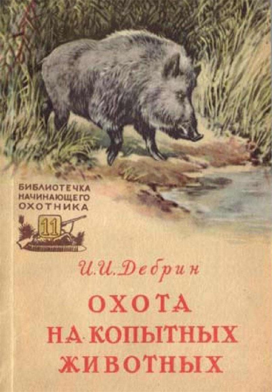 169960_800.jpg