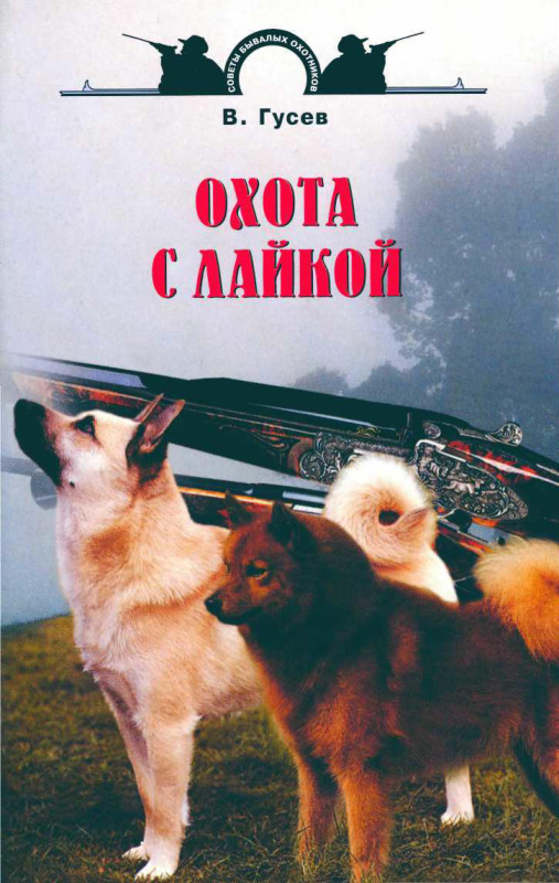162350_800.jpg