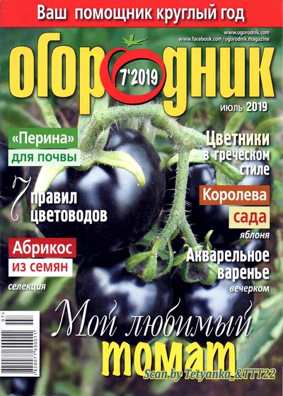 Ogorodnyk-7-2019ua.jpg