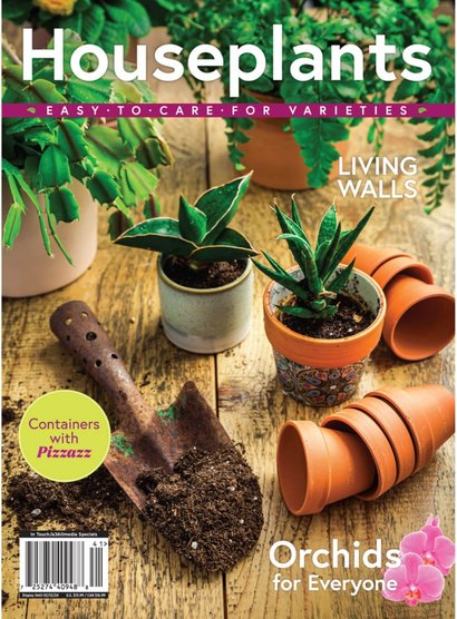 Houseplants-2023.jpg