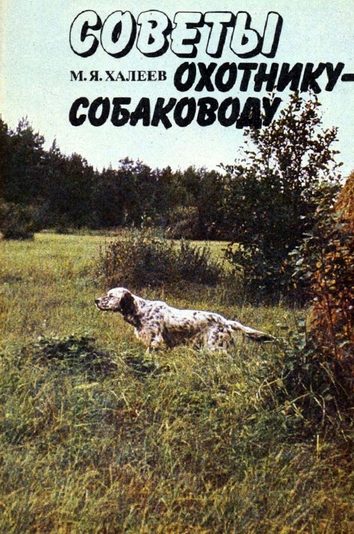 133152_original.jpg