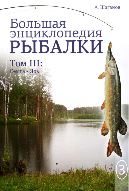 94517_800.jpg