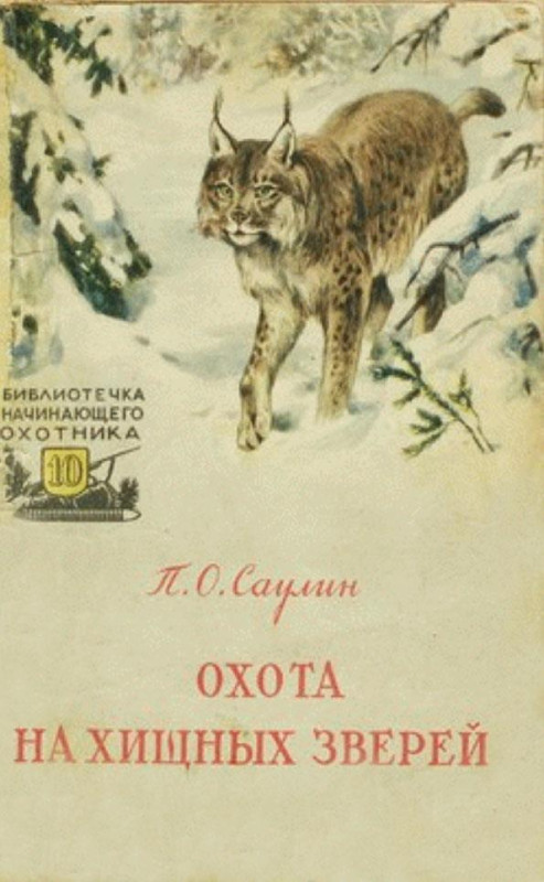 168562_800.jpg