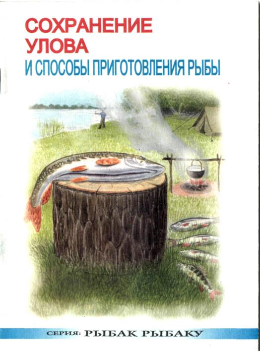 239425_original.jpg