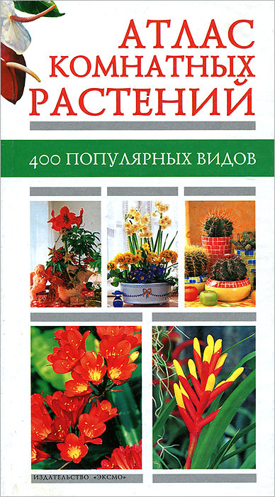 Atlas-komnatnykh-rastenii-400-populiarnykh-vidov0.jpg