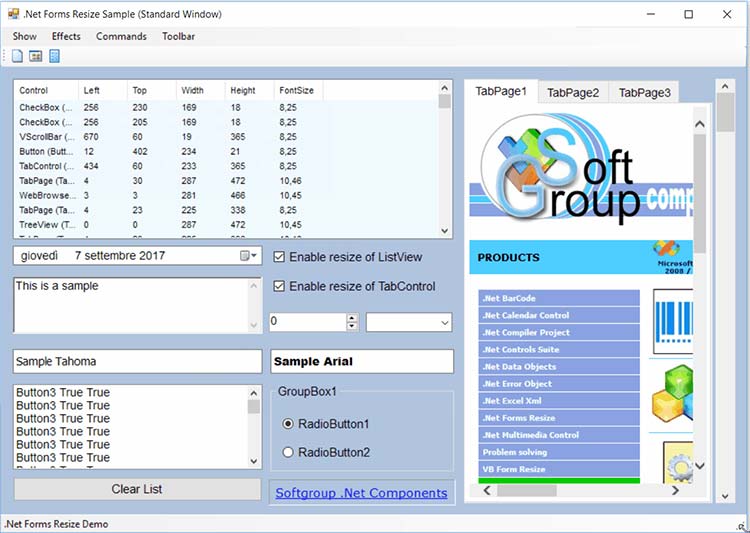 Softgroup-.Net-Forms-Resize-Sample.jpg