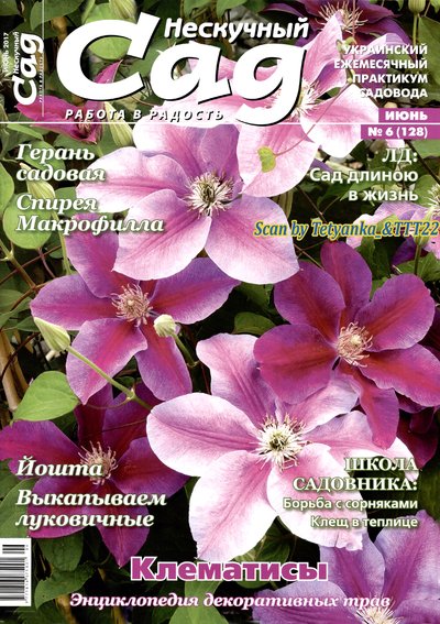 Nesk-SAD-06-2017ukr.jpg