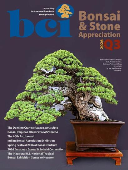BCI-Bonsai-Stone-Appreciation-Magazine-Q3-2026100.jpg