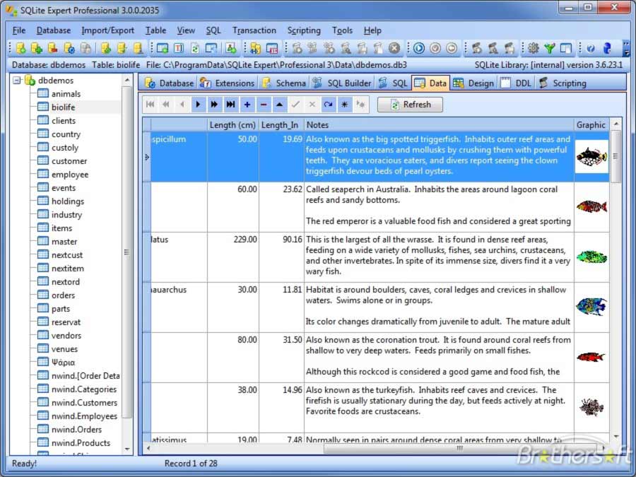 SQLite-Expert1.jpg