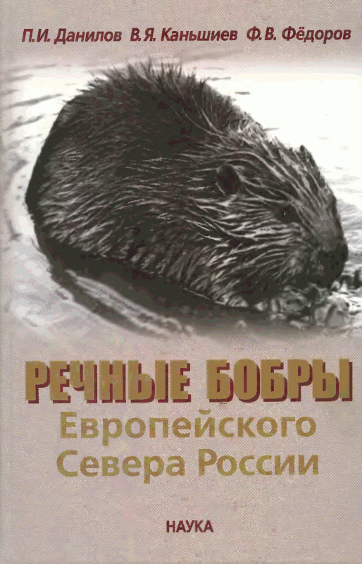 217612_800.png