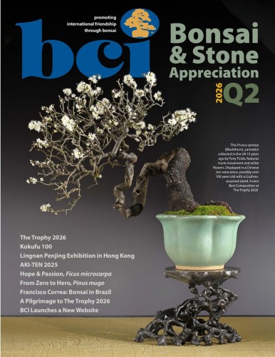 BCI-Bonsai.jpg