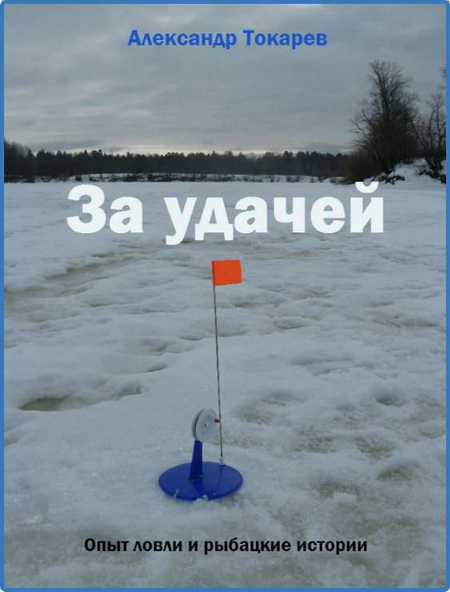240076_original.jpg