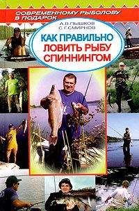 87267_800.jpg