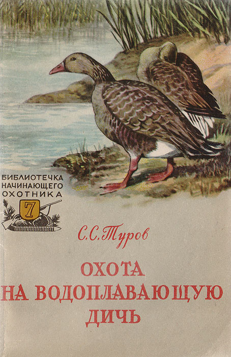 167700_800.jpg