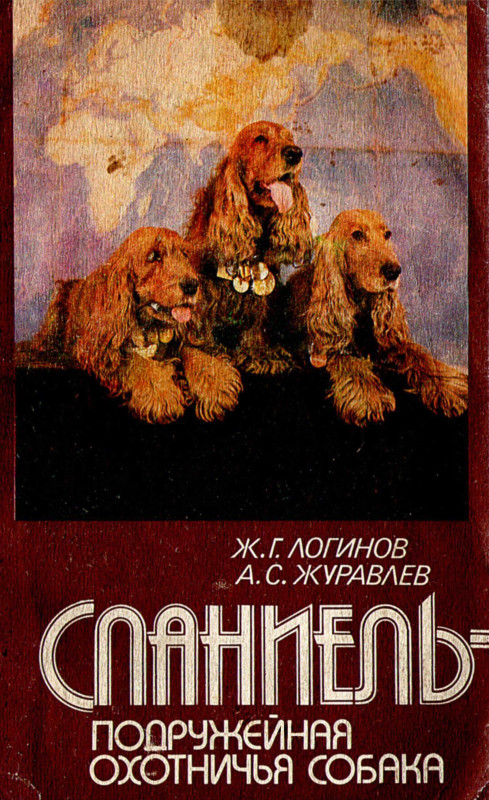 179013_800.jpg