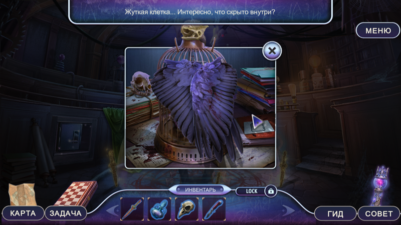 XucqaUy.png