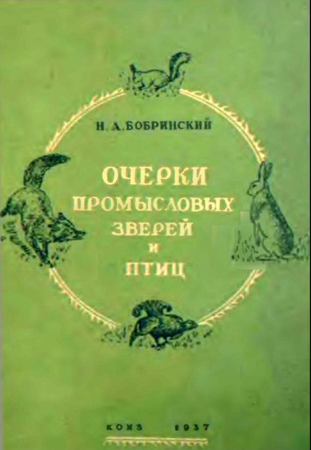215579_original.jpg
