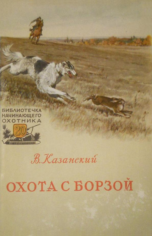 169991_800.jpg