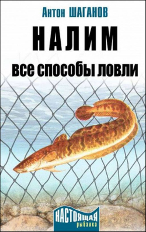 95187_800.jpg