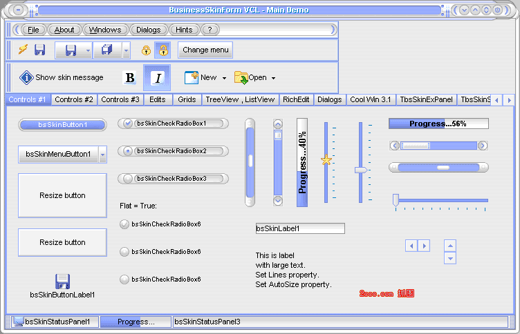 BusinessSkinForm.gif