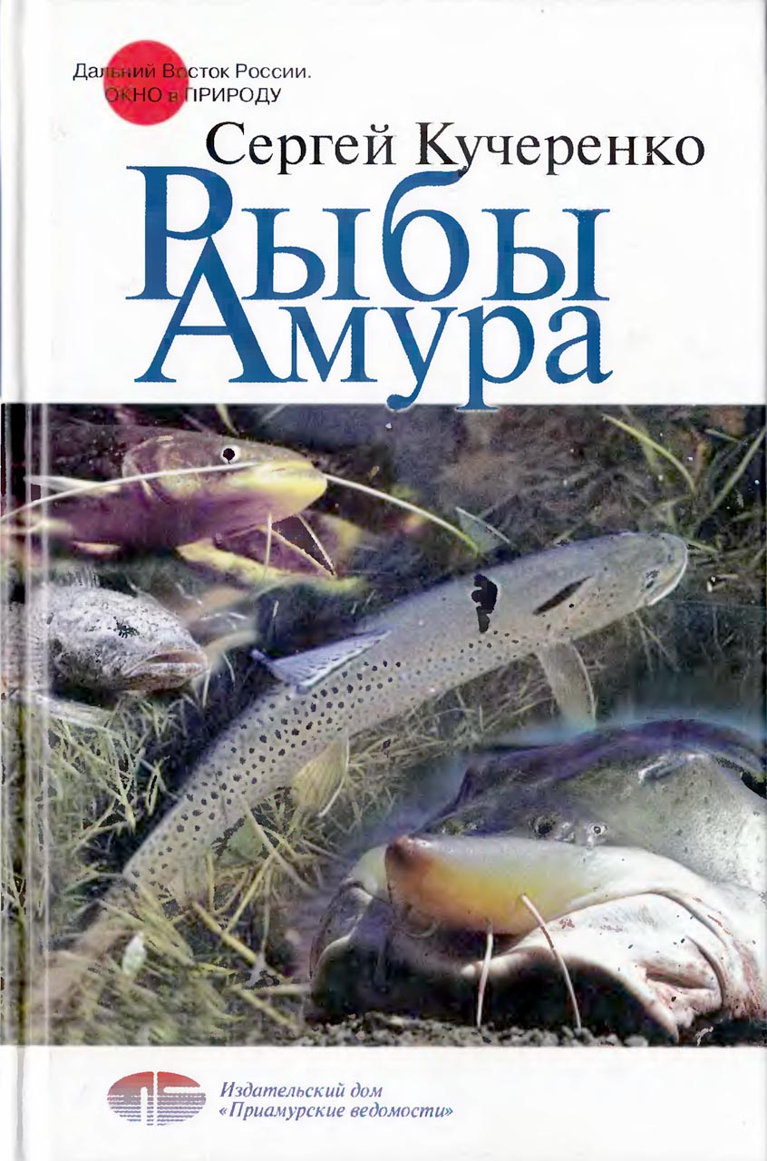 118279_original.jpg