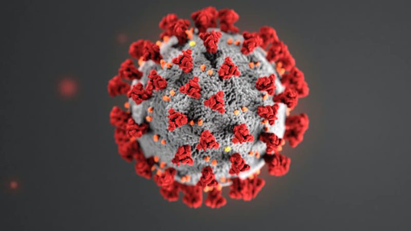 Structure of the new COVID-19 coronavirus Structure of the new COVID-19 coronavirus