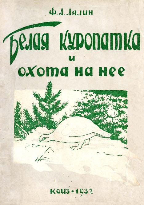 132881_original.jpg