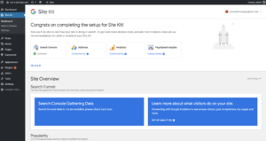 Site-kit-by-google-dashboard-300x159.png